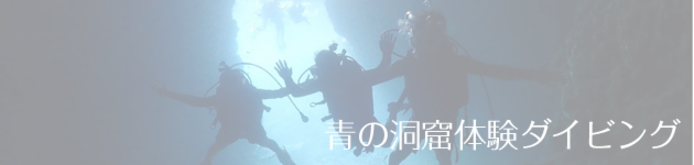 banner_ao_diving.png